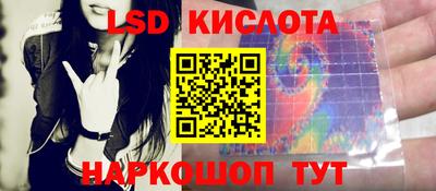 стаф Будённовск