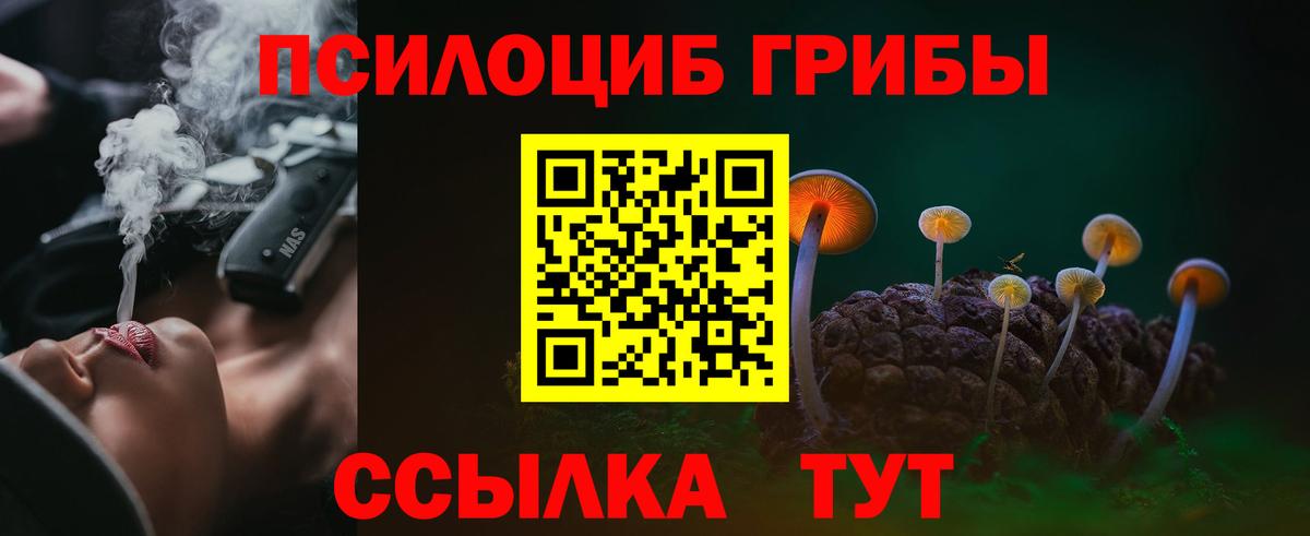 Светлоград  Псилоцибиновые грибы Psilocybine cubensis  Вход с VPN 